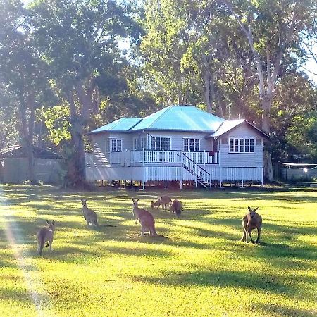 Lake Weyba Noosa Lodge & Kangaroos Переджиан Бийч Екстериор снимка
