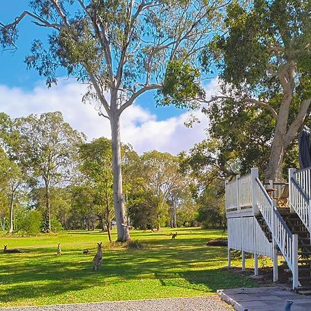 Lake Weyba Noosa Lodge & Kangaroos Переджиан Бийч Екстериор снимка