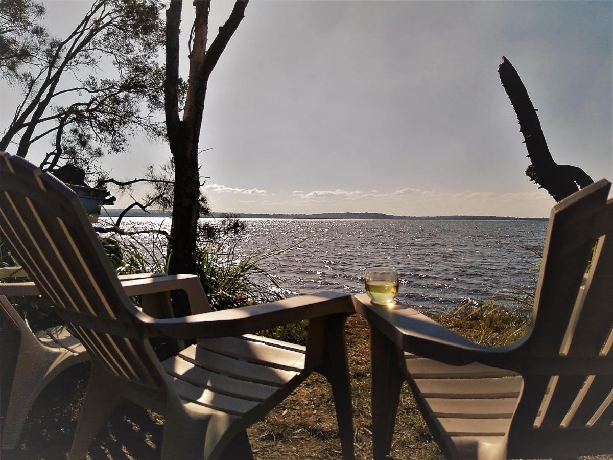 Lake Weyba Noosa Lodge & Kangaroos Переджиан Бийч Екстериор снимка