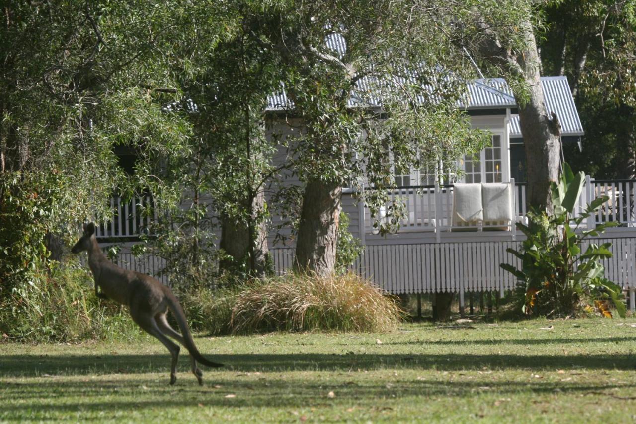 Lake Weyba Noosa Lodge & Kangaroos Переджиан Бийч Екстериор снимка