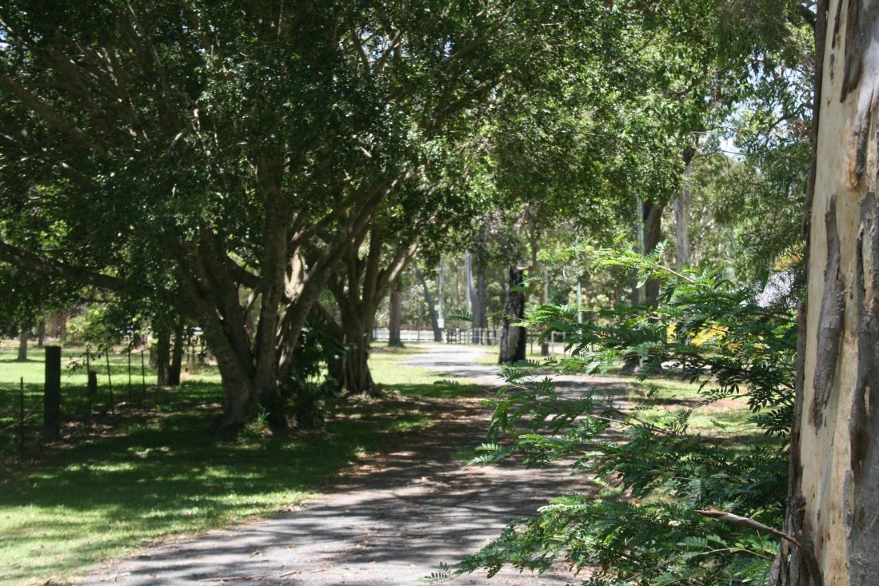 Lake Weyba Noosa Lodge & Kangaroos Переджиан Бийч Екстериор снимка