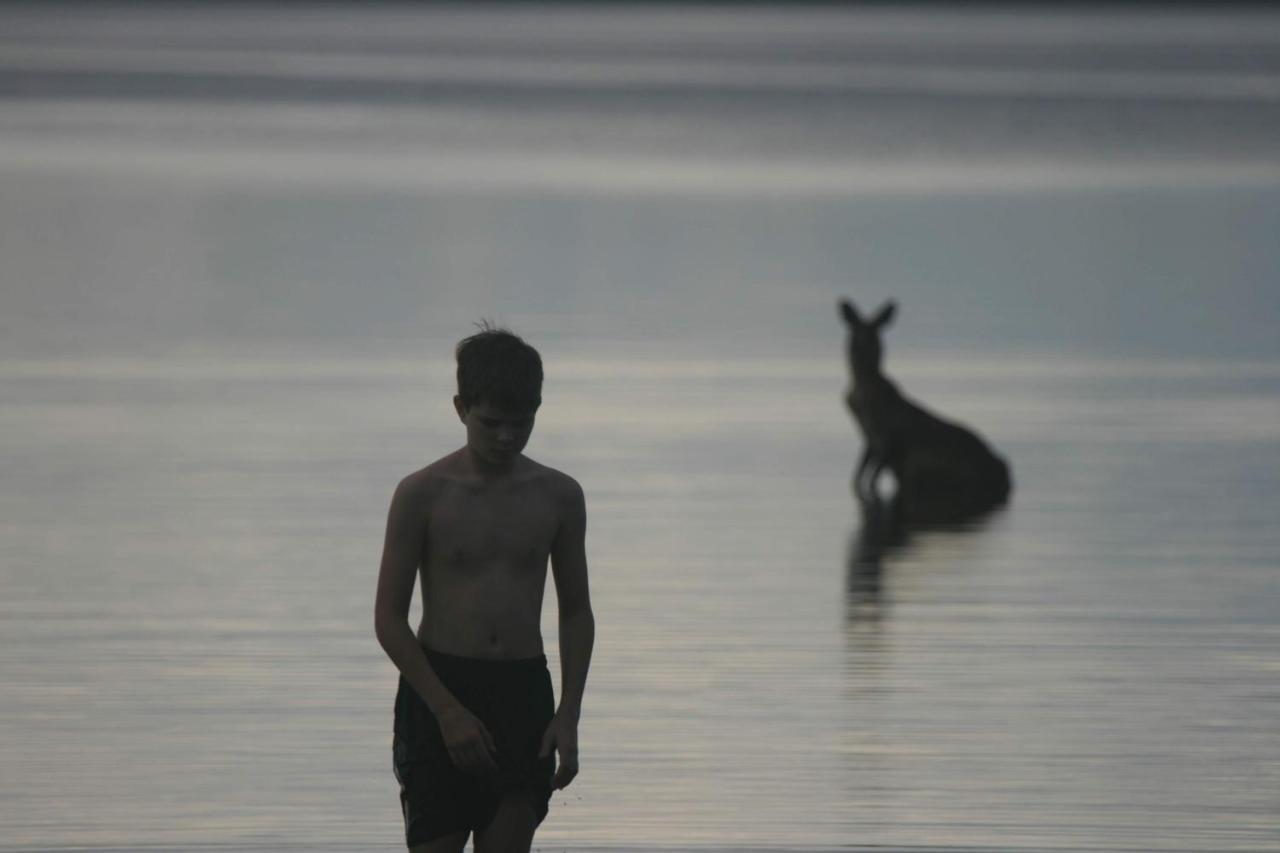 Lake Weyba Noosa Lodge & Kangaroos Переджиан Бийч Екстериор снимка
