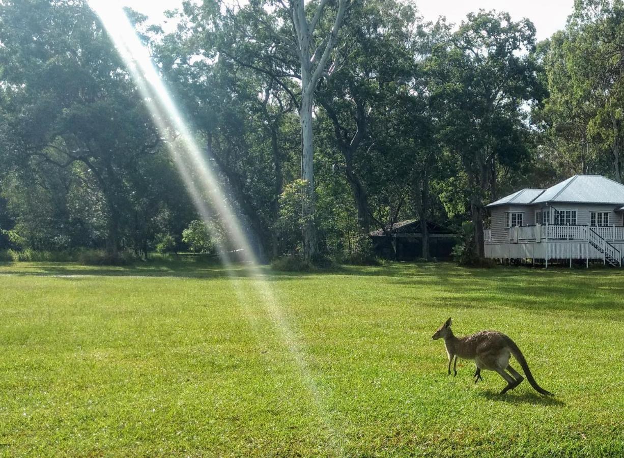 Lake Weyba Noosa Lodge & Kangaroos Переджиан Бийч Екстериор снимка