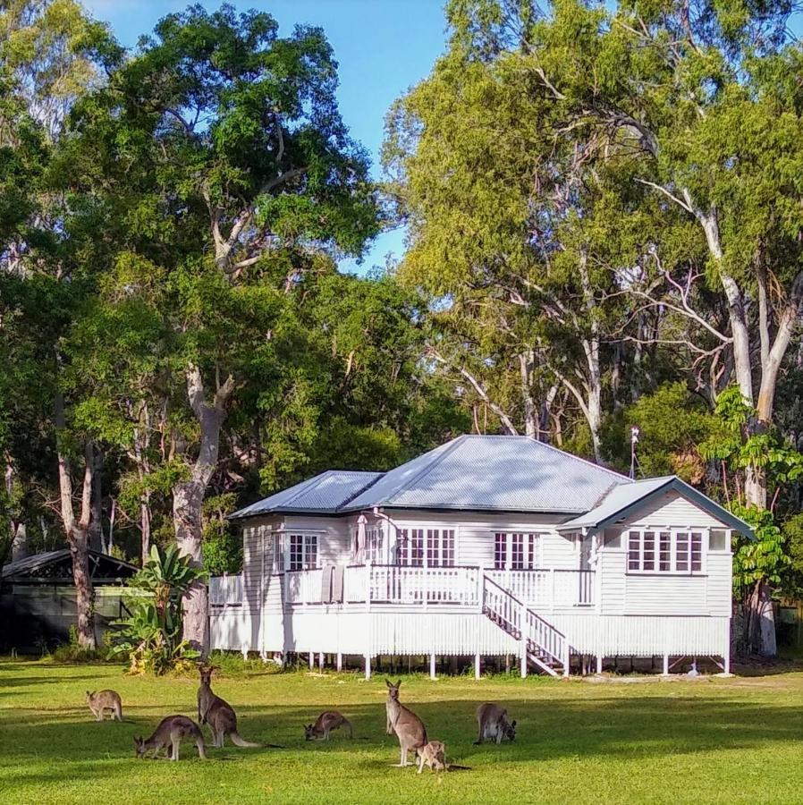 Lake Weyba Noosa Lodge & Kangaroos Переджиан Бийч Екстериор снимка
