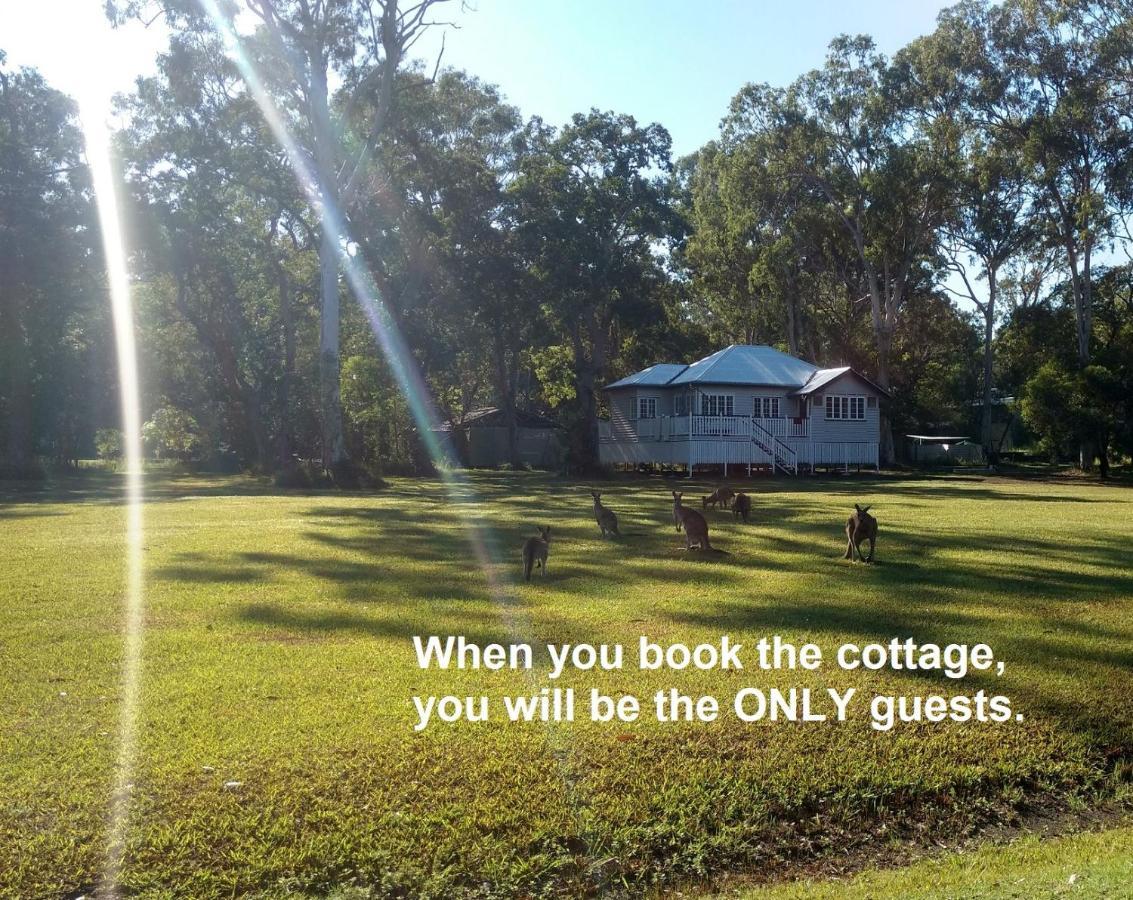 Lake Weyba Noosa Lodge & Kangaroos Переджиан Бийч Екстериор снимка