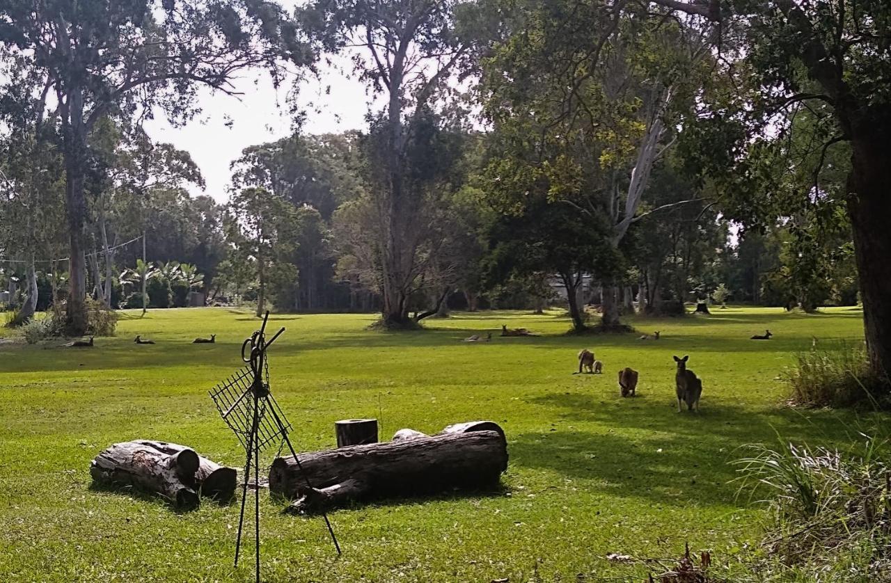 Lake Weyba Noosa Lodge & Kangaroos Переджиан Бийч Екстериор снимка