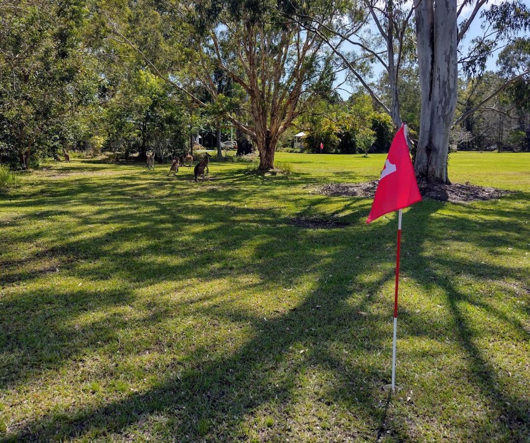 Lake Weyba Noosa Lodge & Kangaroos Переджиан Бийч Екстериор снимка
