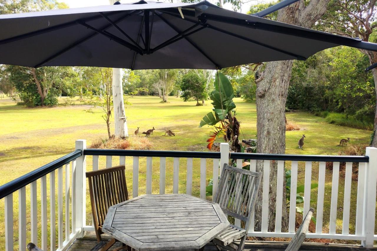 Lake Weyba Noosa Lodge & Kangaroos Переджиан Бийч Екстериор снимка
