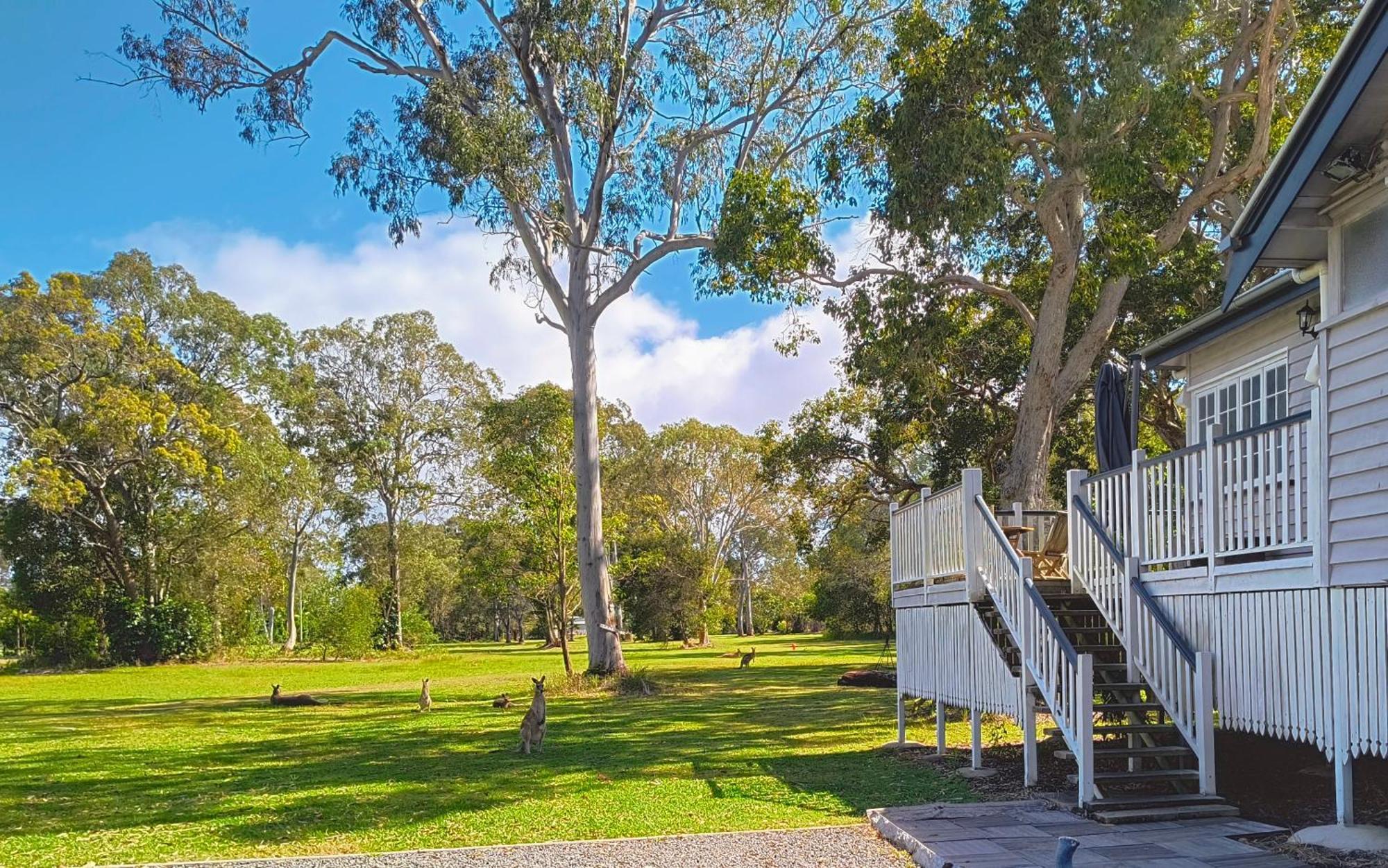 Lake Weyba Noosa Lodge & Kangaroos Переджиан Бийч Екстериор снимка
